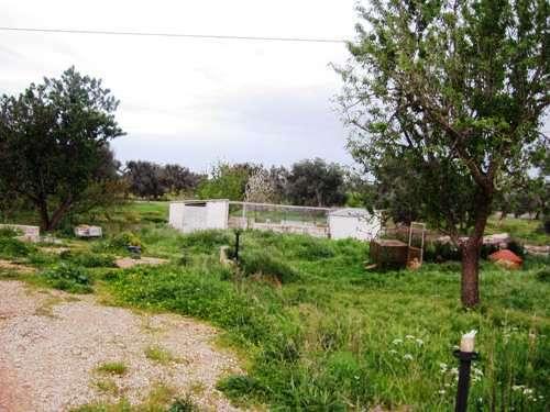 prospettiva esterna 2